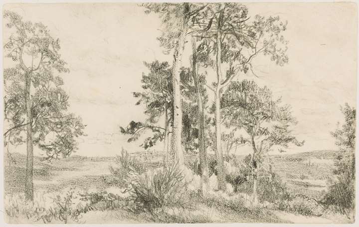 Landscape with a Grove of Trees, Brandenburg